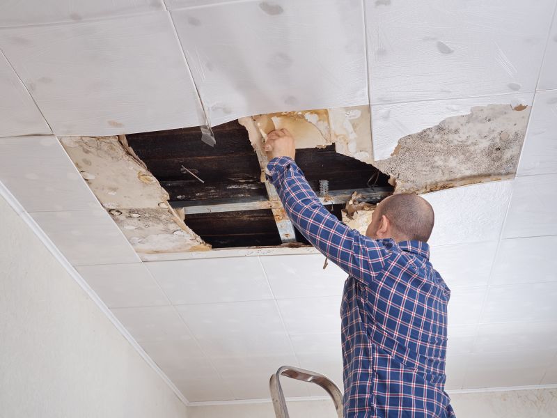 Walls And Ceilings Repair